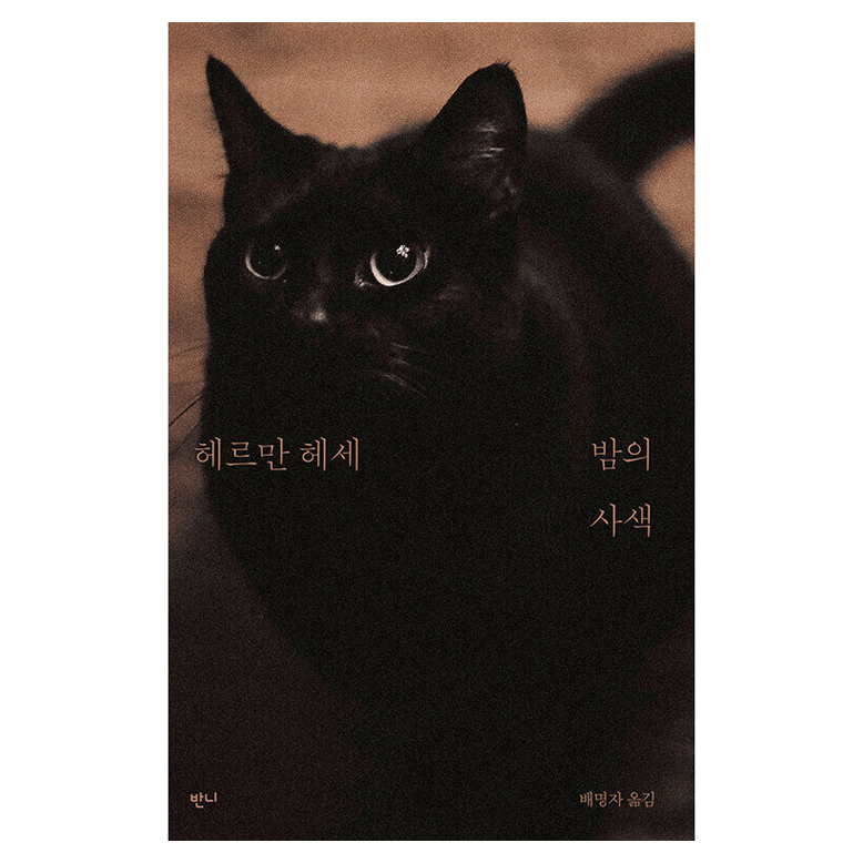 추천 인기 사색쇼핑몰 10개 필수 구매!